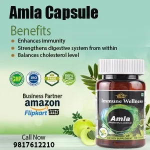 Amla capsule