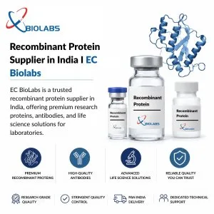 Recombinant protein supplier in india ec biolabs