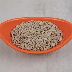 Sunflower seeds manufacturers in india