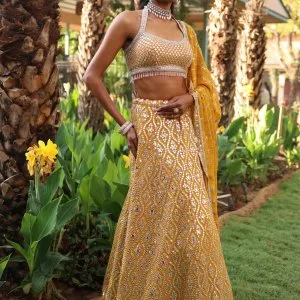 Georgette lehenga with mirror work