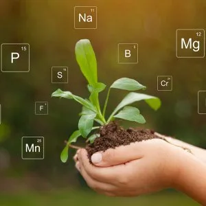 Highperformance fertigation fertilizers for drip irrigation