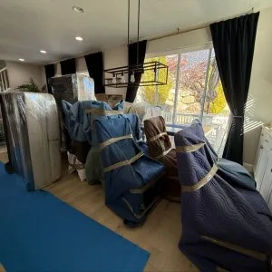 Professional packers and movers in chandigarh