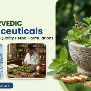 Ayurvedic pharmaceuticals company