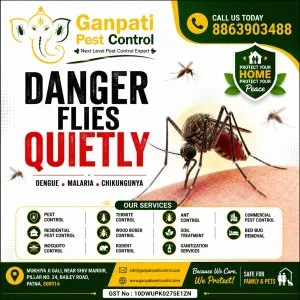 Termite control