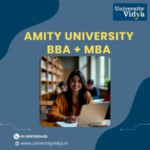 Comprehensive business training amity university bba mba