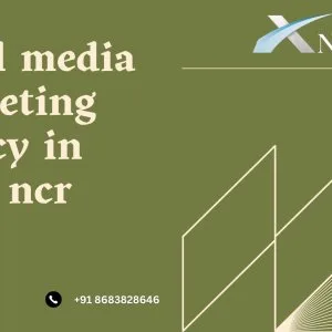Social media marketing agency in delhi ncr experts