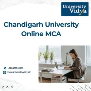 Become a strategic tech leader chandigarh university online mca