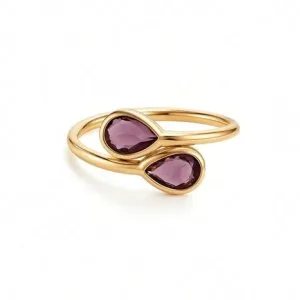 Gold ring with two purple stones