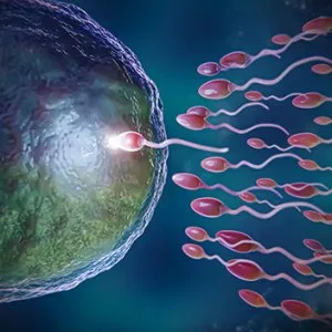 Ivf specialist in ahmedabad understanding fertility treatment