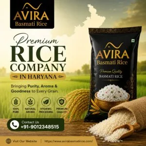Rice company in haryana
