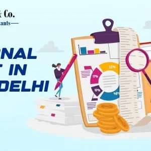 Cost reduction strategies internal audit in new delhi