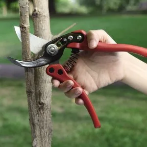 Professional garden hand pruner 31691