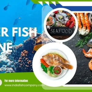 Trusted fresh fish in gurgaon home delivery service
