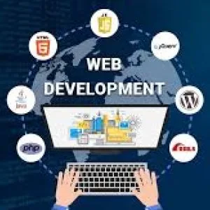 Invoidea provides erp software development company in india expe