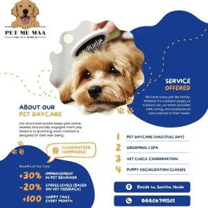 Pet daycare services