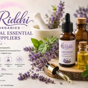 Natural essential oils suppliers in delhi riddhi organics