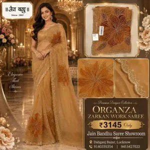 Organza zarkan work saree in lucknow
