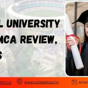 Dy patil university online mca review courses