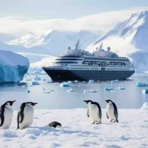 Plan your antarctica cruise adventure now with cruisebay experts