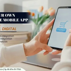 Ecommerce web development in india 