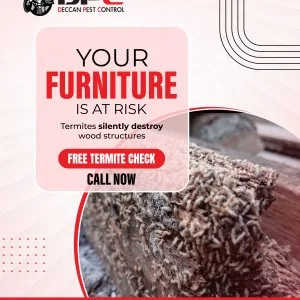 Best termite pest control services in hyderabad