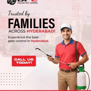 Termite pest control service in secunderabad