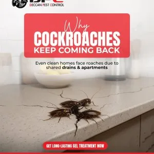 Cockroach pest control in secunderabad