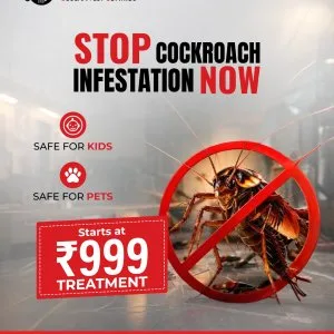 Best cockroach control services in hyderabad