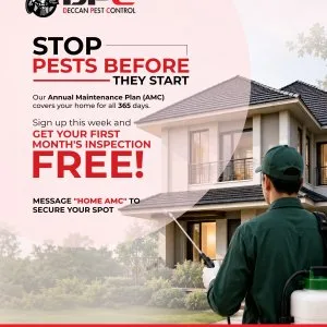 Pest control services in hyderabad