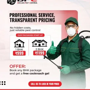 Termite pest control in hyderabad