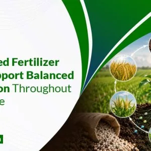 Advanced fertilizer solutions
