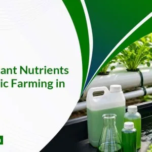 Liquid plant nutrients supplier in vadodara imperialagro