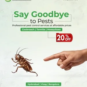 Pest control in hyderabad