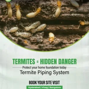 Termite pest control services in hyderabad