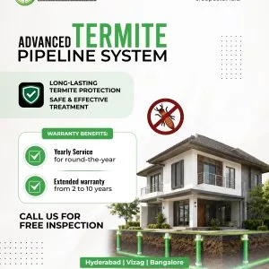 Termite control in hyderabad
