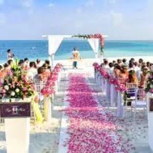 Destination wedding bharat helps plan sacred weddings at triyugi