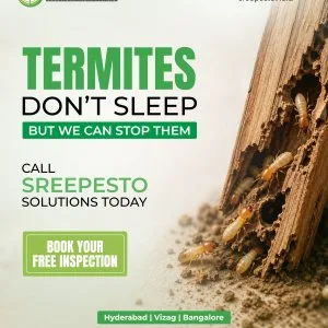 Termite control services in hyderabad