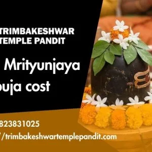 Online booking for maha mrityunjaya puja and rahu ketu pooja