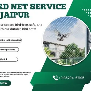 Bird net services in jaipur for balcony