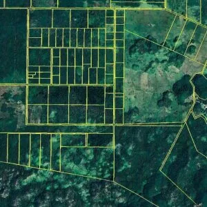 25 acres agriculture land franks eddy belize