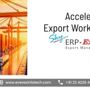 Accelerate your export workflow with sky erp export plus