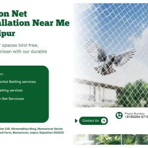 Trusted pigeon net services near me in jaipur