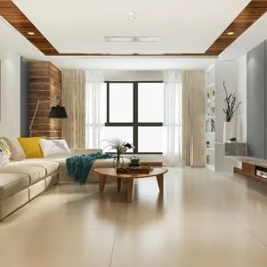 Find your ideal 2 bhk flat in noida extension