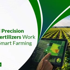 Precision agriculture fertilizers supplier in india