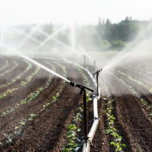 Affordable sprinklers winterization services taylor