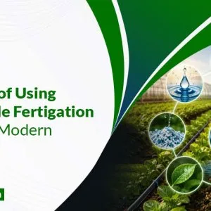 Fertigation fertilizers supplier in vadodara imperialagro