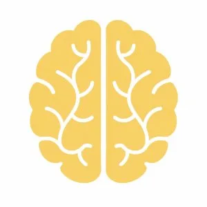 Autism treatment in dubai aba therapy in dubai brainhub poly