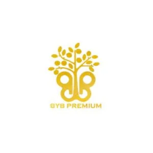 Byb premium logo