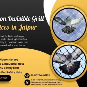 Reliable pigeon inviesible grill net services