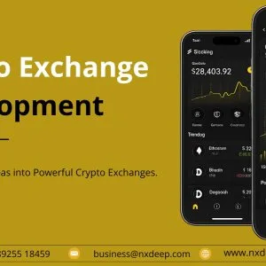 Futureready crypto exchange development solutions